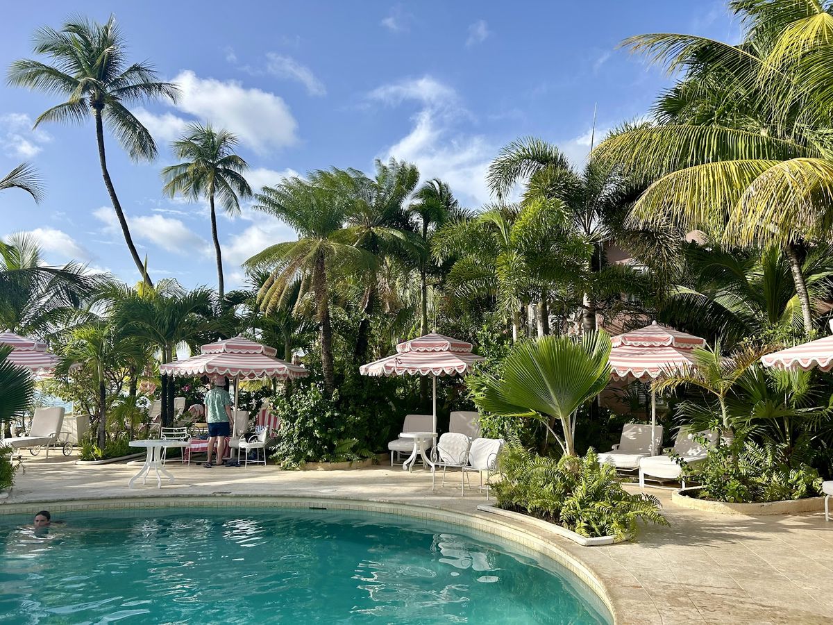 Cobblers Cove — Speightstown, St. Peter — additional view 3