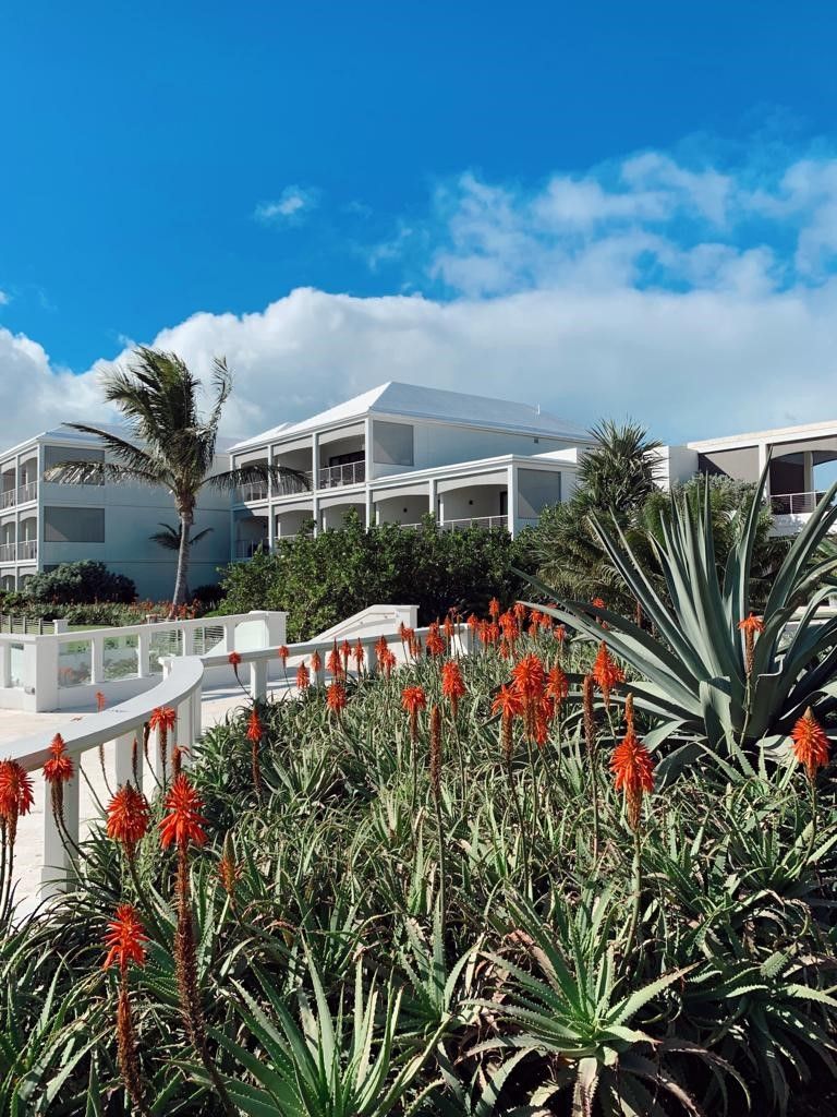The Loren at Pink Beach — Bermuda