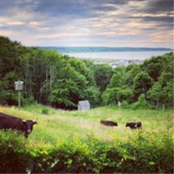 Beach Plum Inn Menemsha Martha's Vineyard — 11 keys on Menemsha clifftop