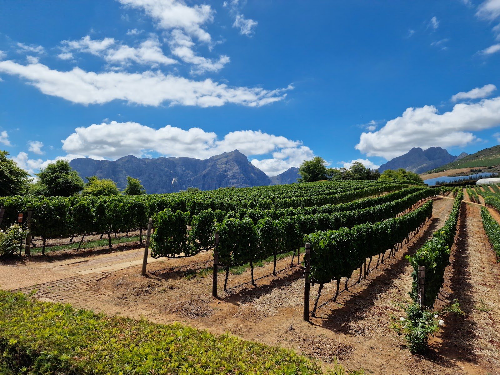 Delaire Graff Estate Stellenbosch — 10-lodge ultra-luxury wine estate with Helderberg sightlines and contemporary-art collection