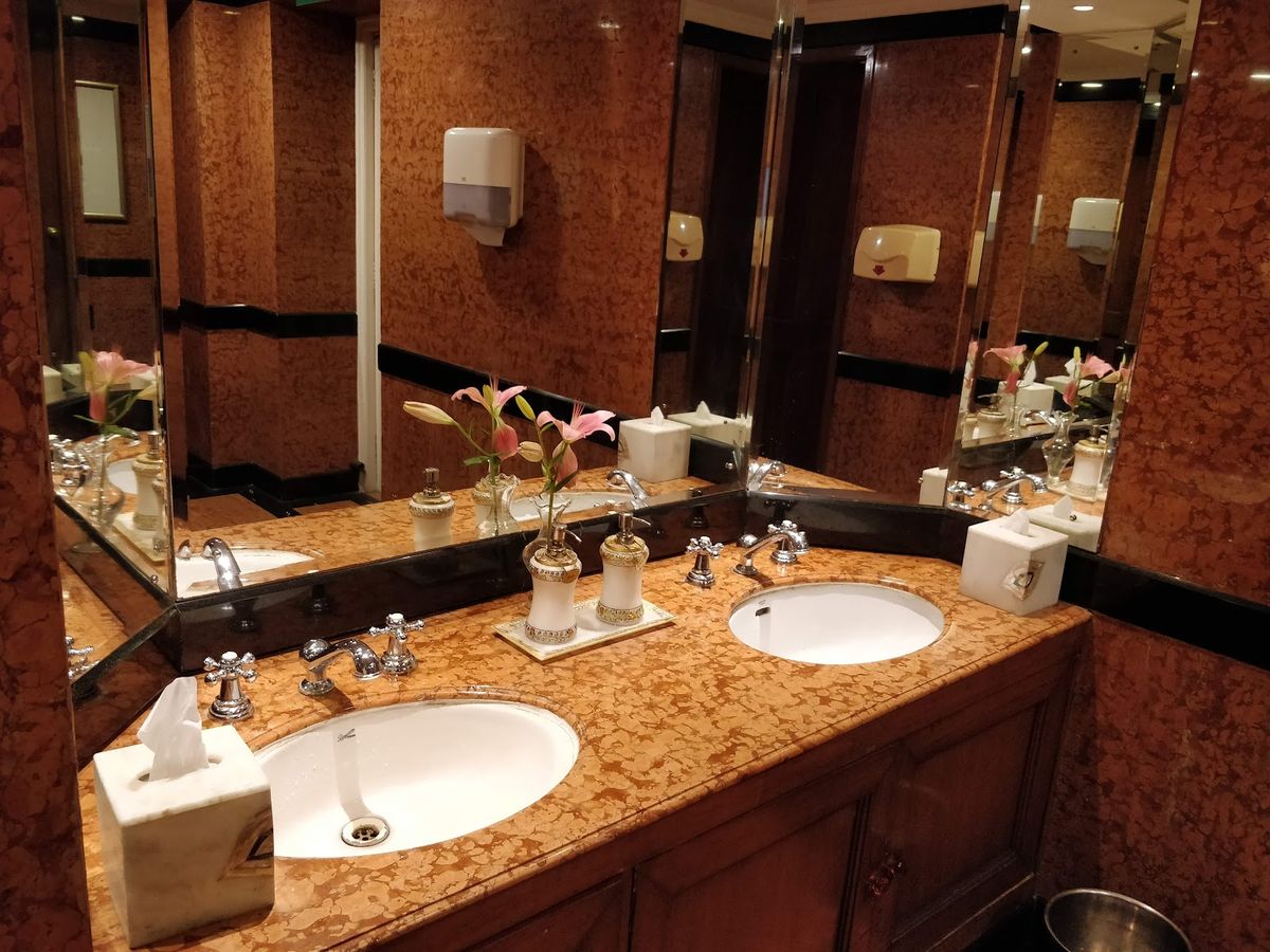 Taj Jai Mahal Palace — Jaipur — additional view 4