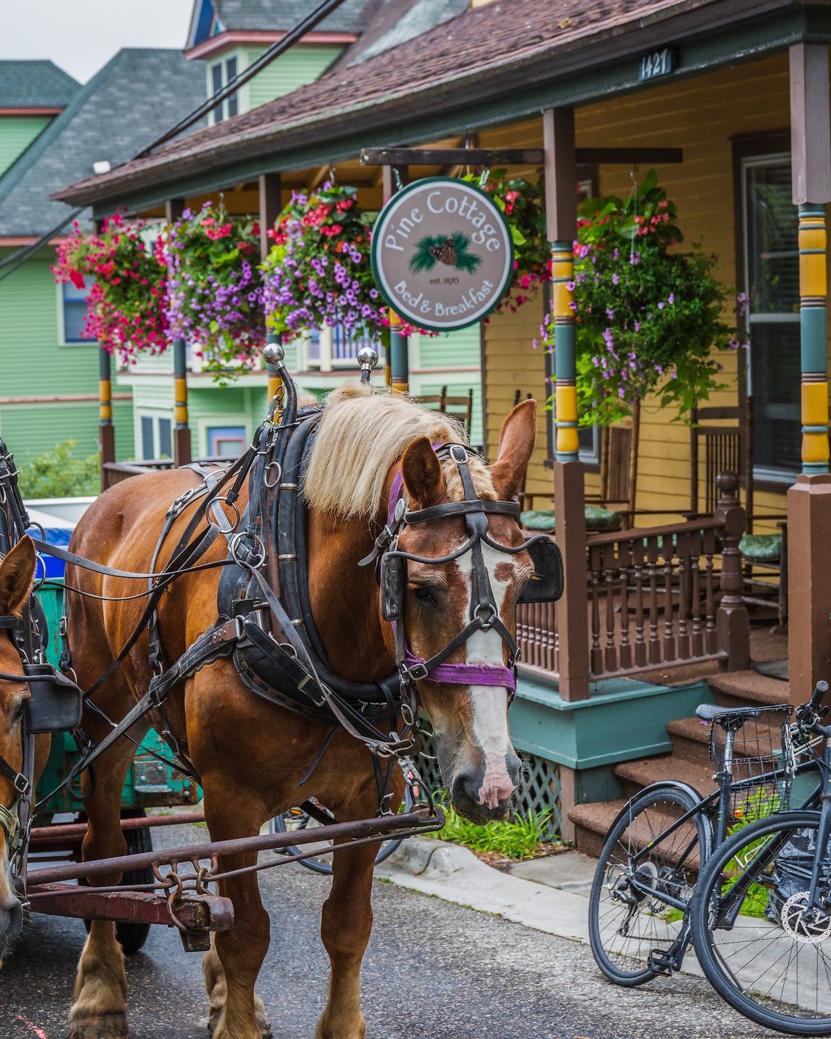 Pine Cottage — Mackinac Island