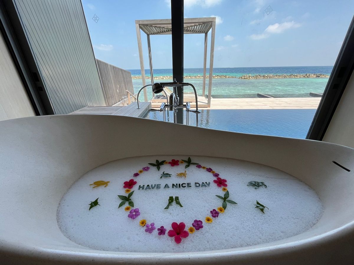 The St. Regis Maldives Vommuli Resort — Maldives — additional view 4