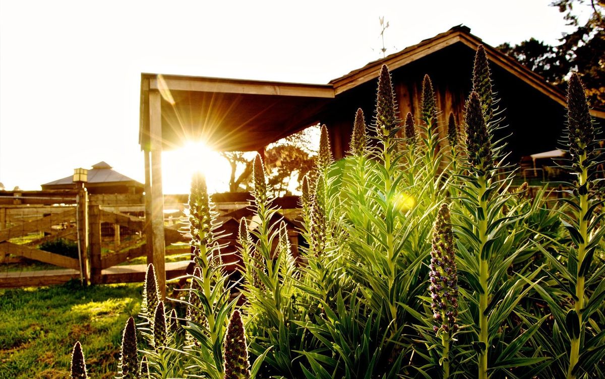 Mendocino luxury hotels