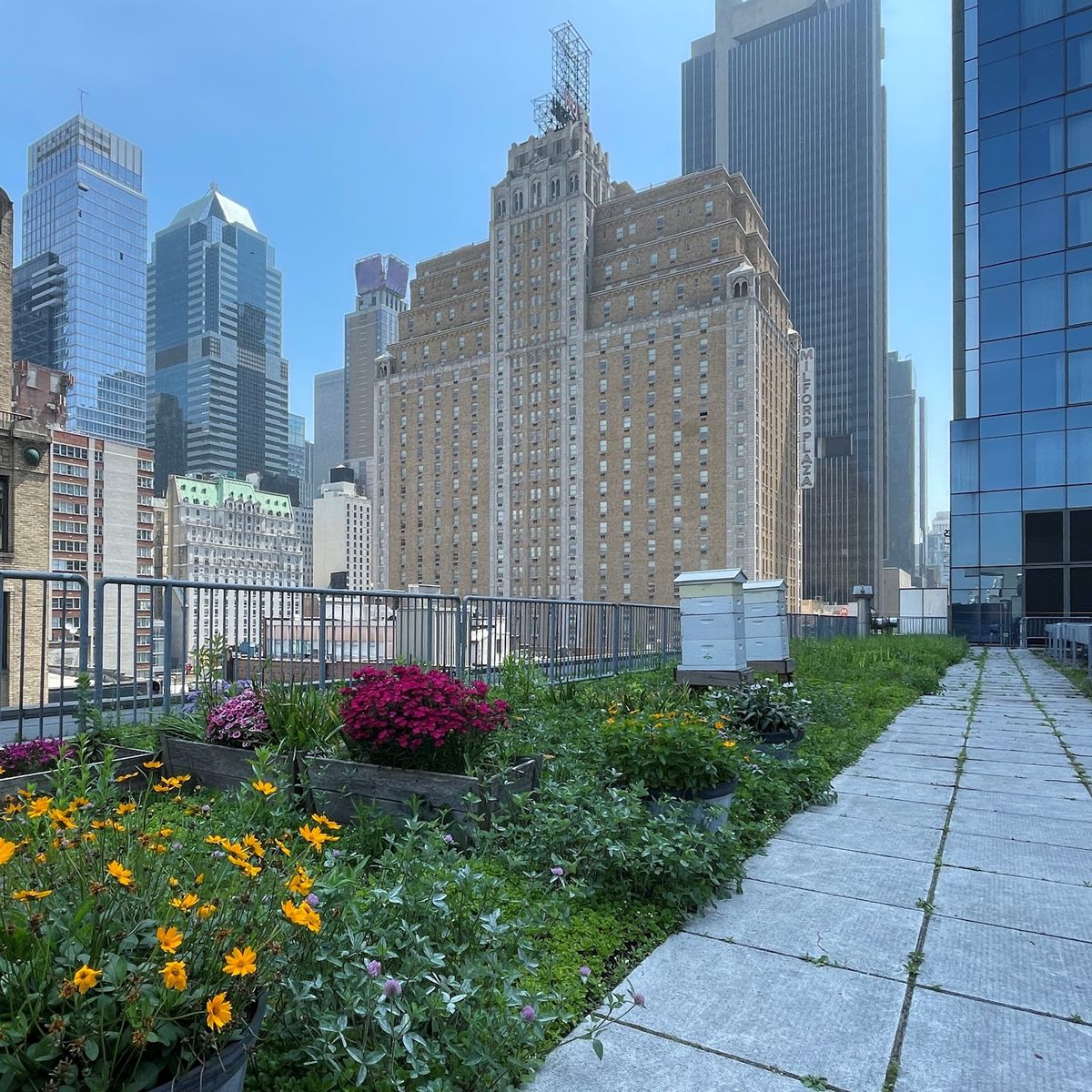 InterContinental New York Times Square — New York — additional view 4