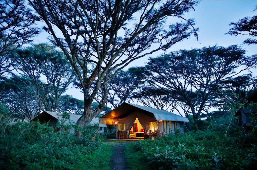 Lemala Ngorongoro Tented Camp — ngorongoro — additional view 2