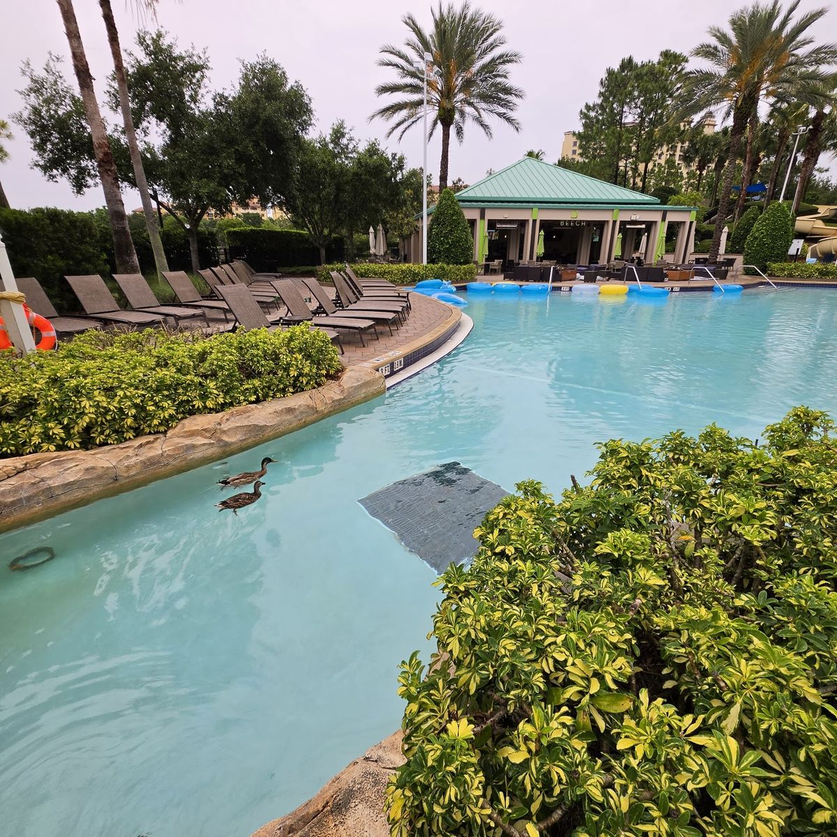 Waldorf Astoria Orlando — Orlando — additional view 3