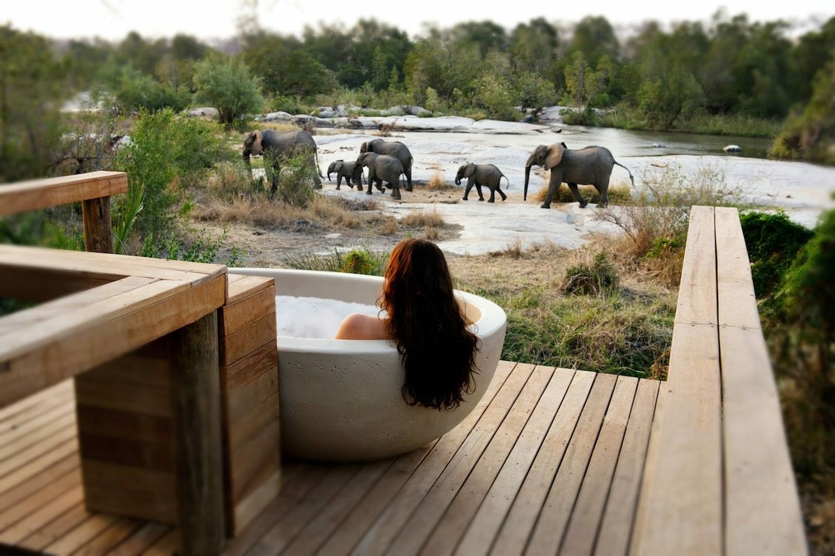 Londolozi — Sabi Sand