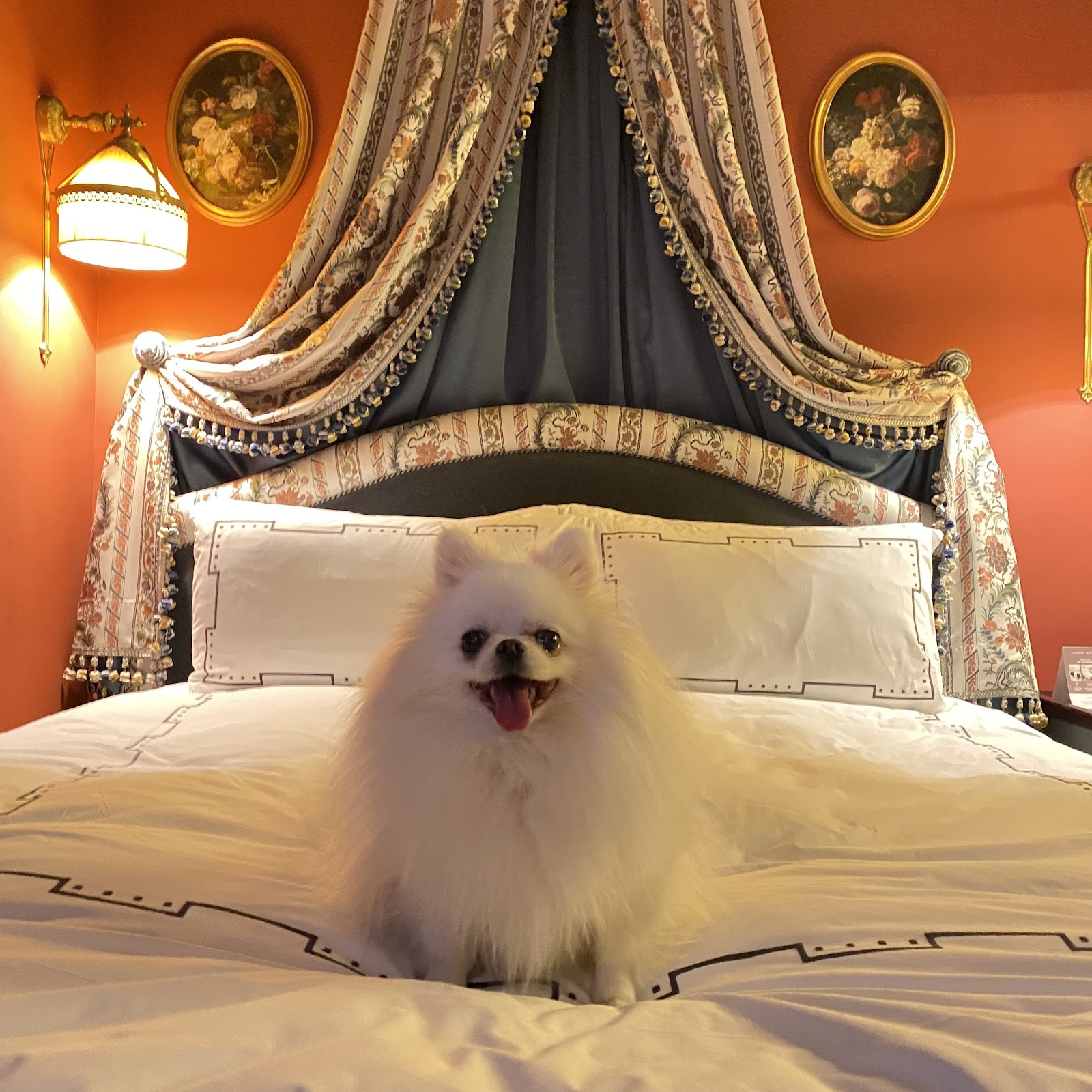 L'Escape Hotel Seoul Myeongdong — 204-room Jacques-Garcia neo-Baroque Parisian-fantasia boutique by Shinsegae Group