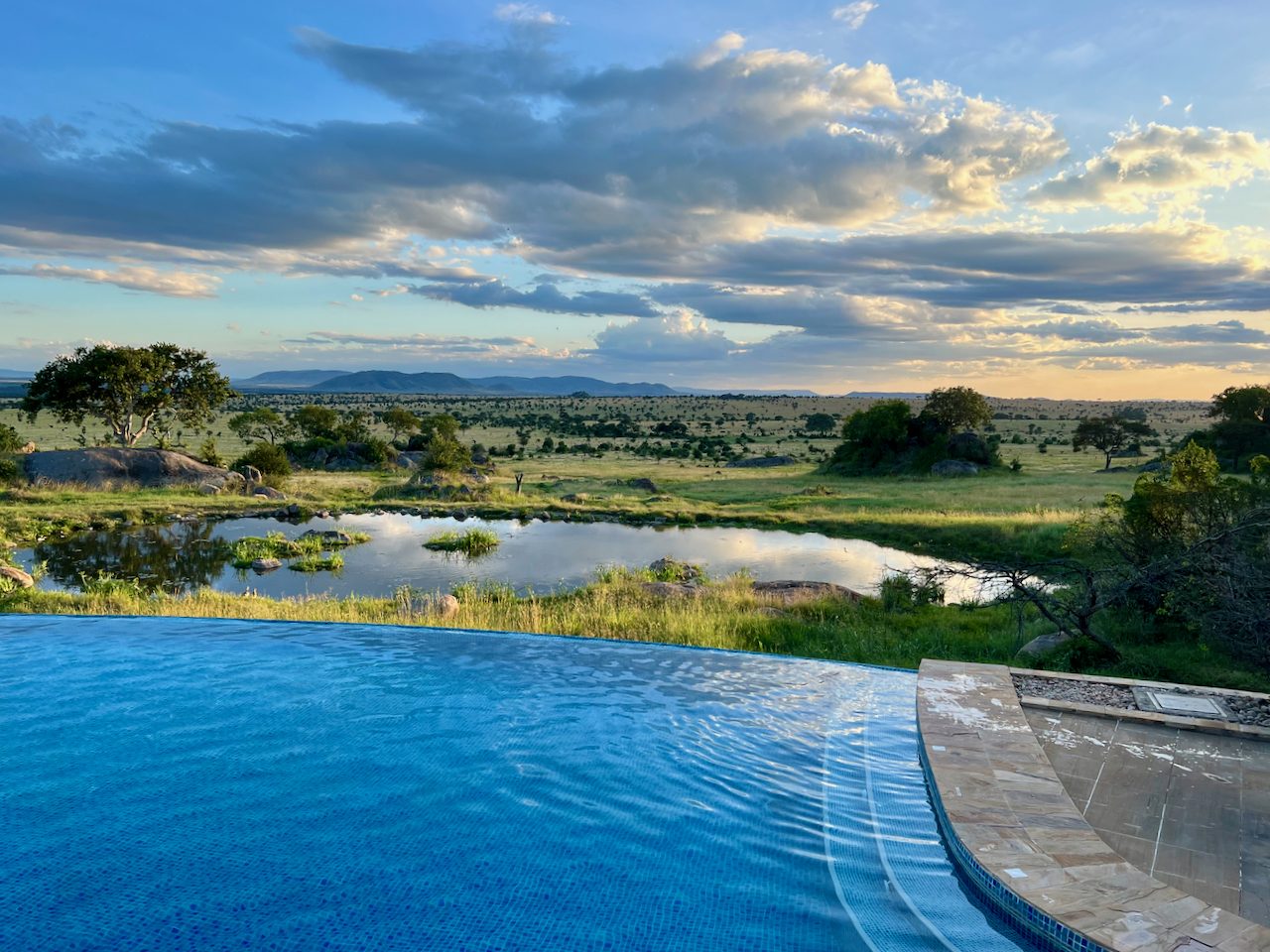 Four Seasons Safari Lodge Serengeti — 77-key central Serengeti family-resort-scale safari flagship with infinity pool overlooking watering hole
