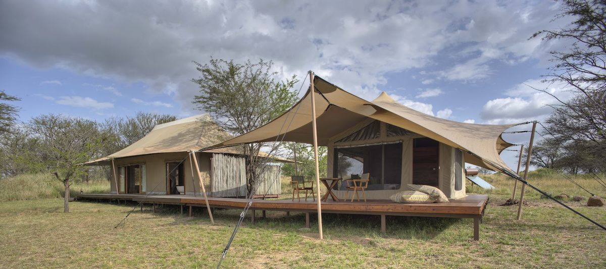 Sayari Camp — Serengeti
