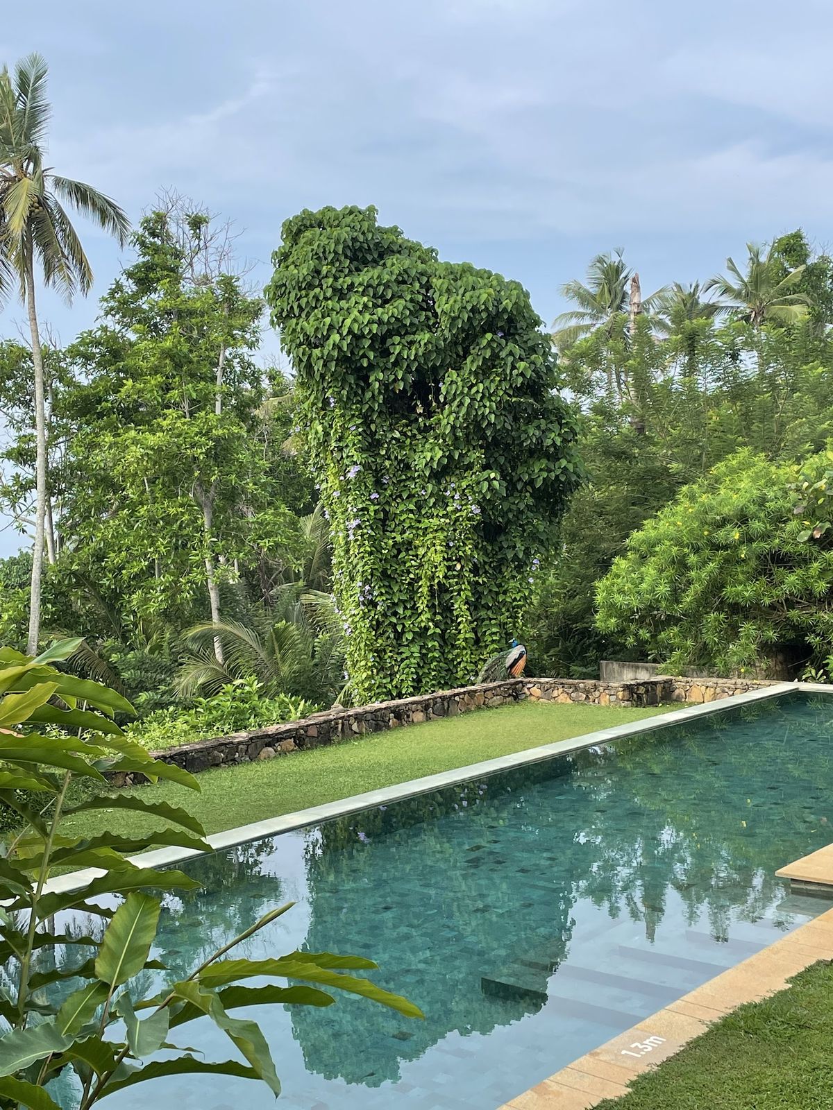 Cape Weligama — Mirissa — additional view 3