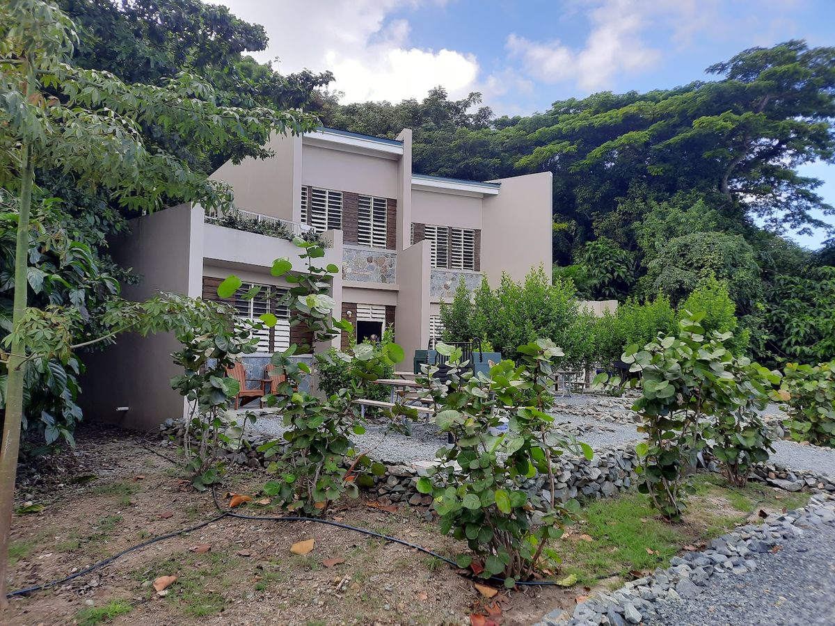 Cinnamon Bay Resort — St John