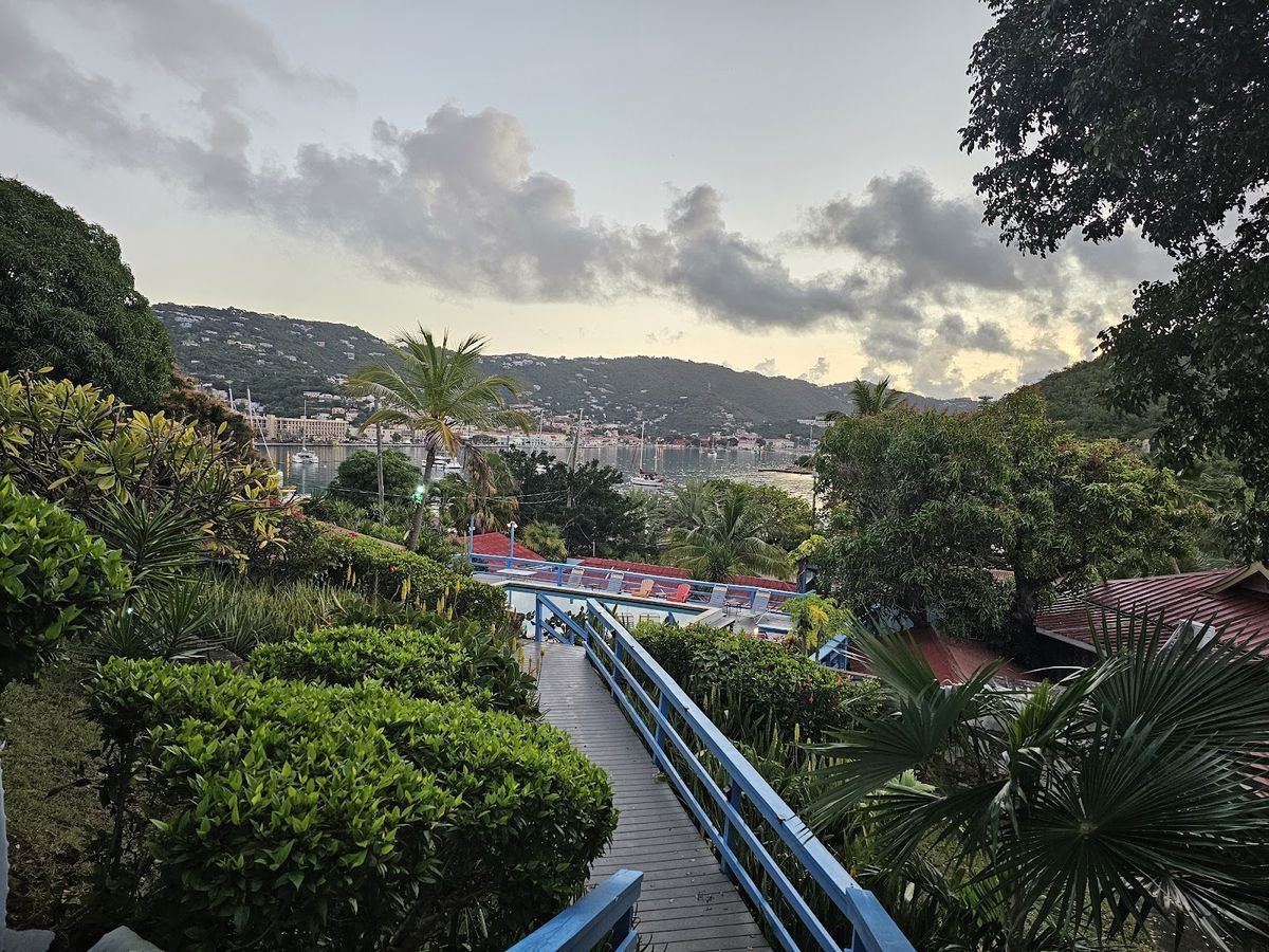 Olga's Fancy — St Thomas