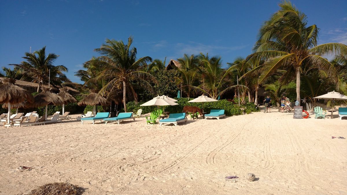 Caba\u00f1as La Luna — Tulum — additional view 4