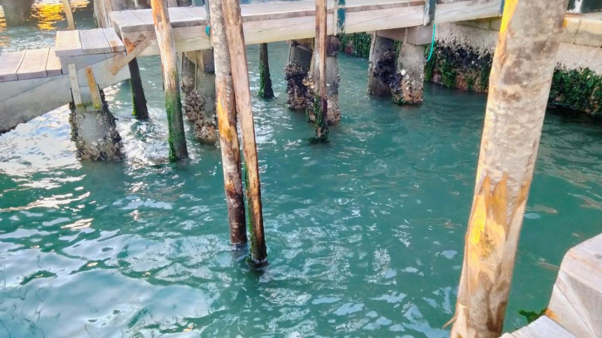 Hotel Londra Palace — Venice — additional view 3